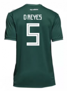 Mexico 2018 World Cup Home Diego Reyes Shirt Soccer Jersey